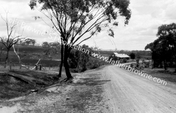 'IN THE BUSH' INTERMEDIATE INN